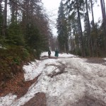 22. Na zejściu w lesie leżało jeszcze sporo śniegu…