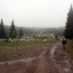 71. Na przełęczy bieliły się krzyże cmentarza wojennego...