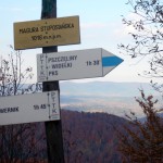 36. ...na wał Magury Łomniańskiej, najwyższego szczytu Gór Sanocko-Turczańskich.